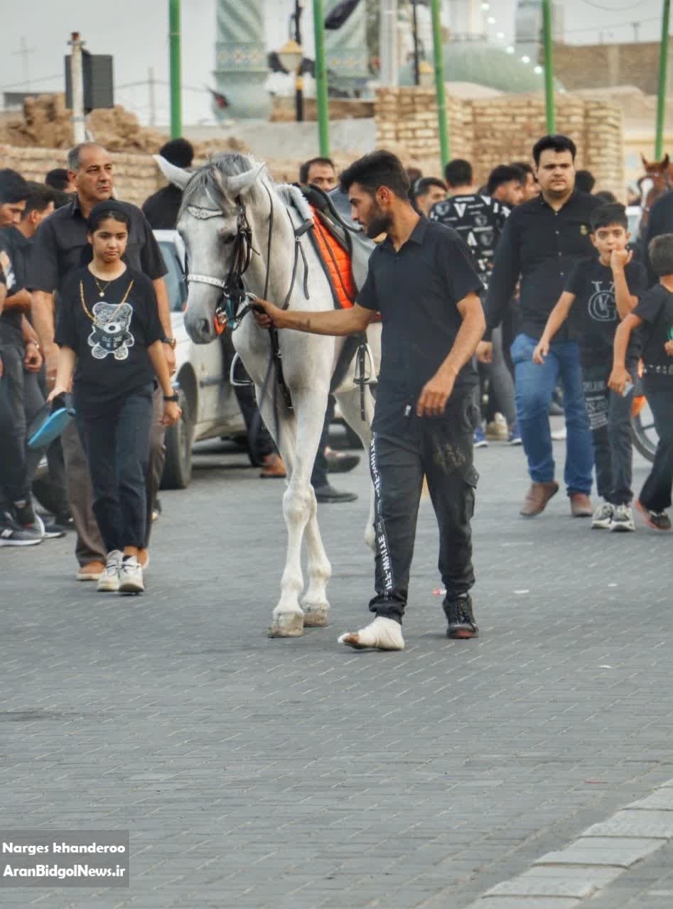 گزارش تصویری از هیت علی اصغری در روز تاسوعای حسینی